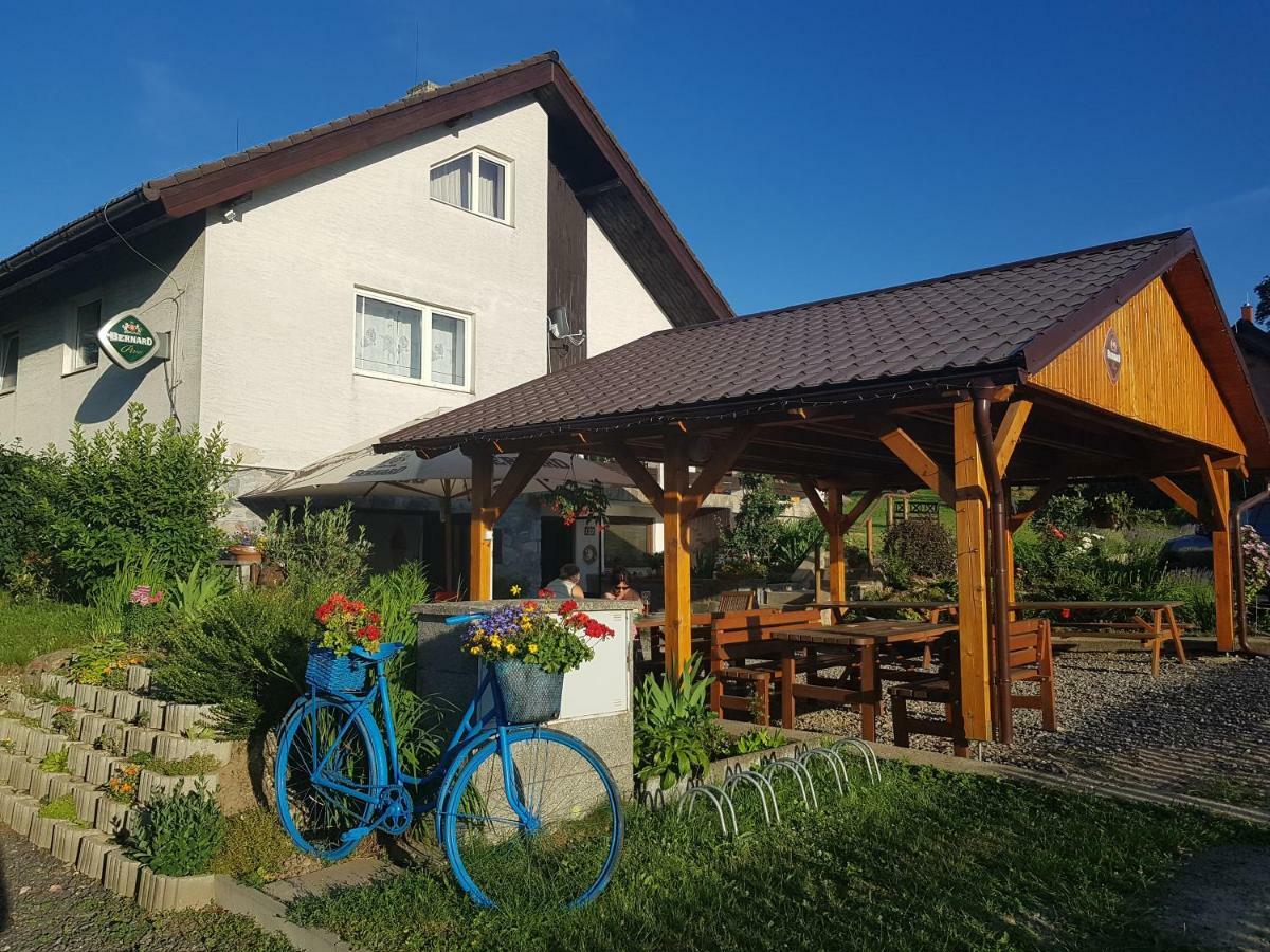 Penzion U Vichu Červená Voda Buitenkant foto