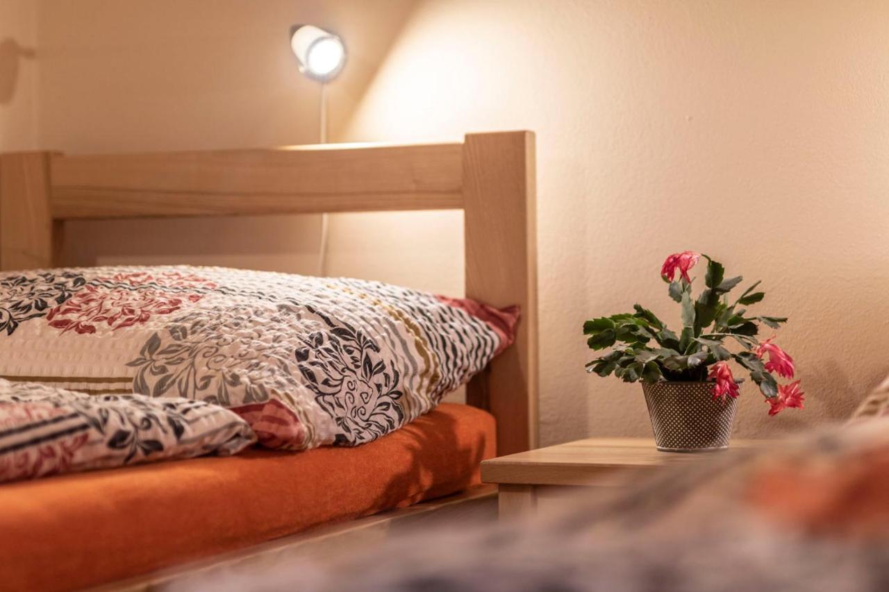 Penzion U Vichu Červená Voda Buitenkant foto