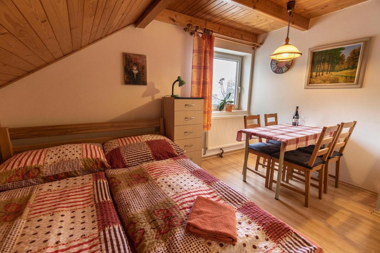 Penzion U Vichu Červená Voda Buitenkant foto