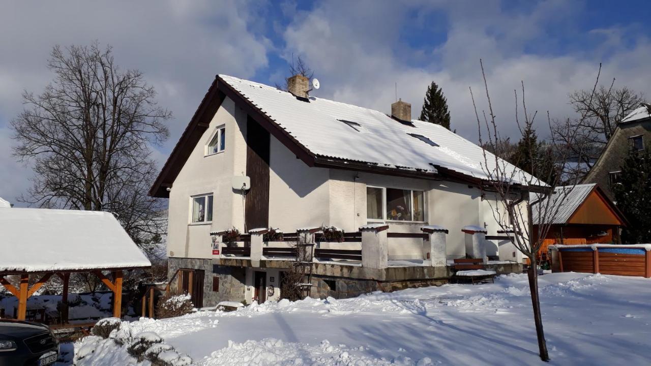 Penzion U Vichu Červená Voda Buitenkant foto