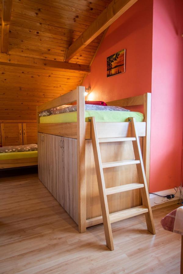 Penzion U Vichu Červená Voda Buitenkant foto
